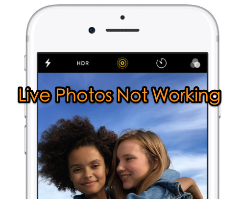 Fix Live Photos Not Working on iPhone