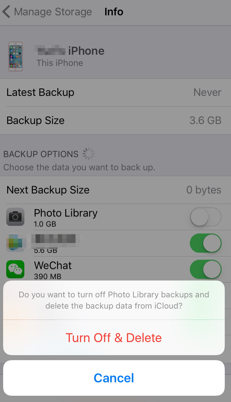 Delete Photos from iCloud Backup