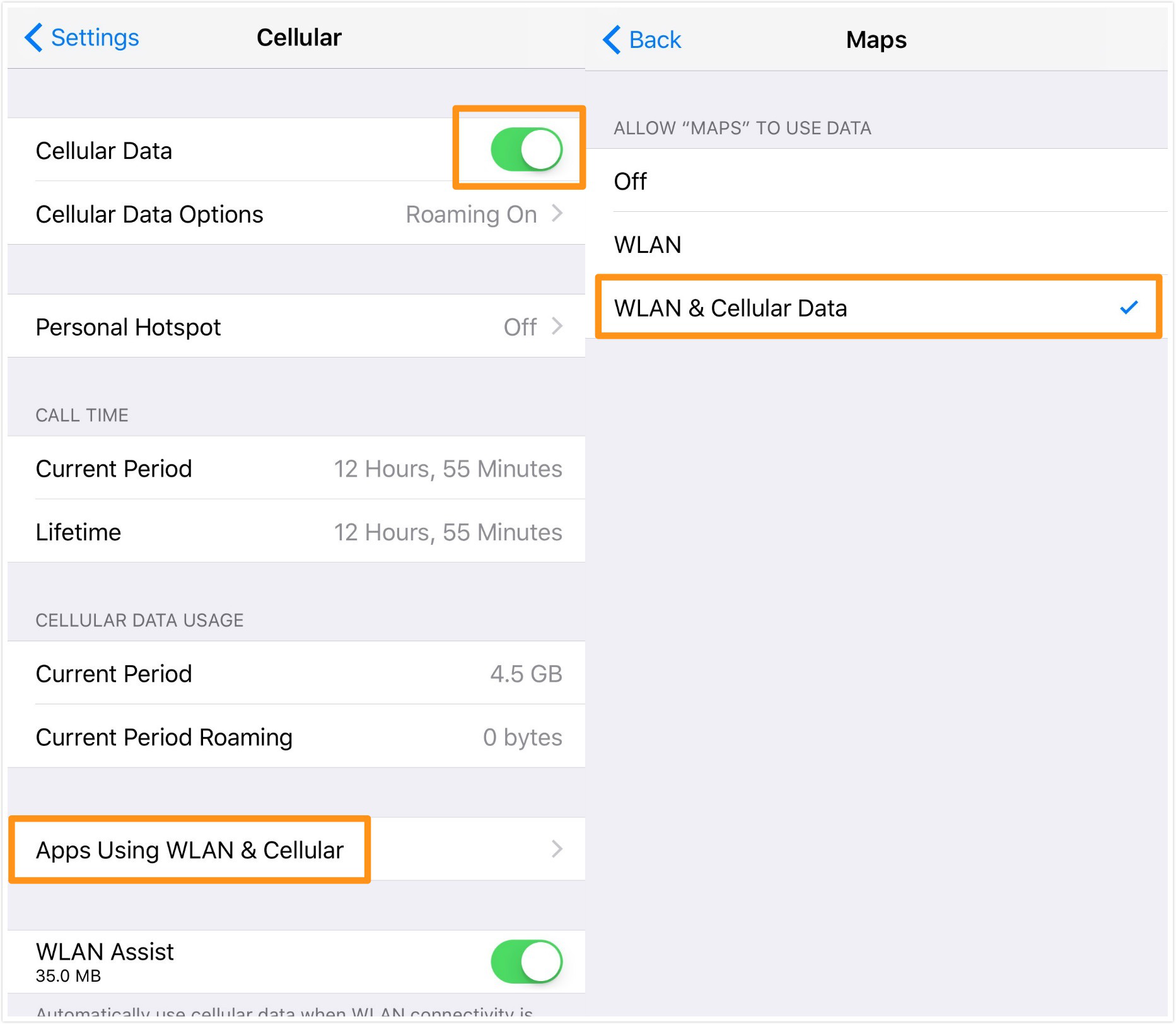 Enable the Cellular Data and WLAN for Maps