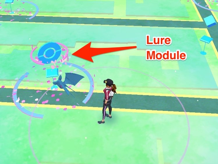 Common Pokémon Go Problems – Lure Modules and Incense don't work