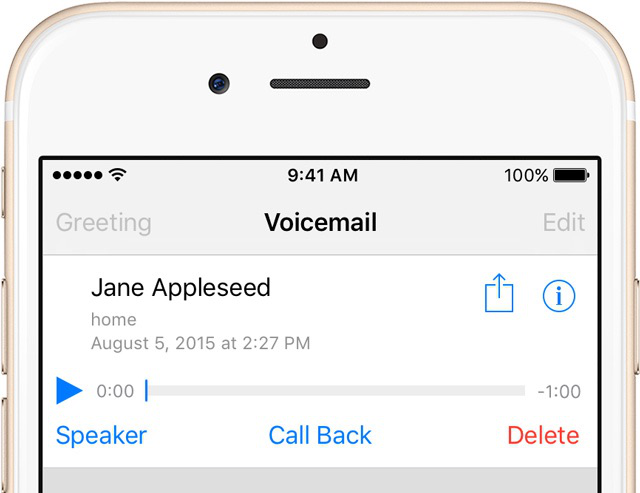 The Interface of Voicemail