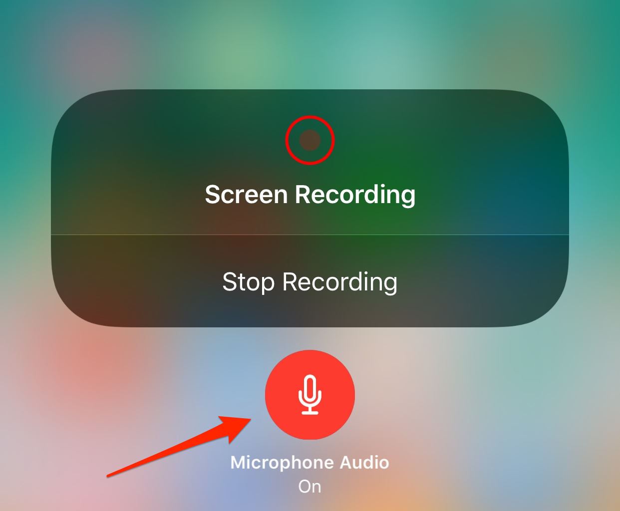 iOS 11 Screen Recording Not Working – No Sound