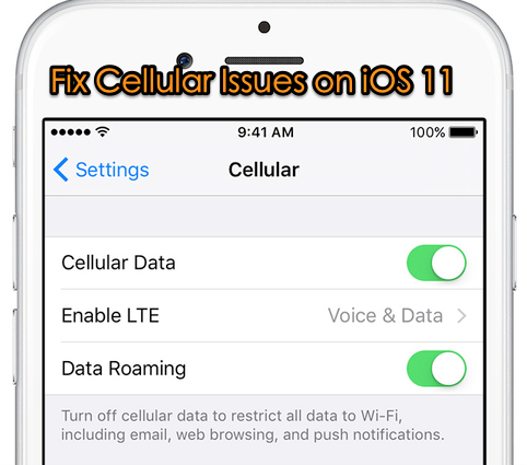 Fix Cellular Data Not Working after iOS 11 Update