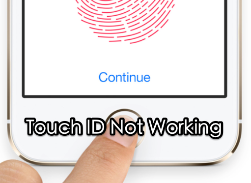 iOS 11 Issues -Touch ID Not Working