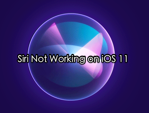 Siri Not Working After Updating to iOS 11