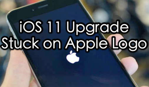 iPhone/iPad Stuck on Apple Logo When iOS 11 Update