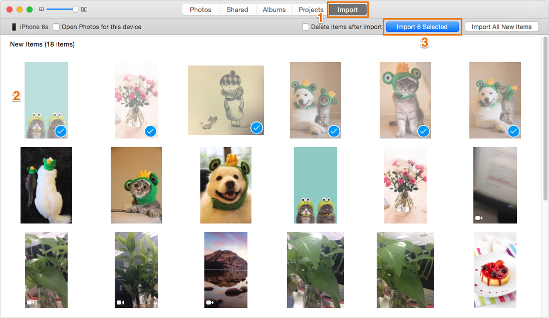 how to download pictures from iphone to mac laptop