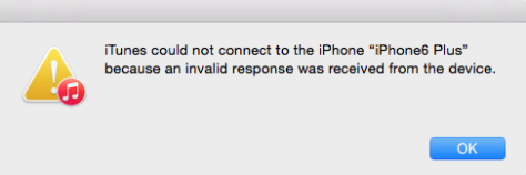 Fix iTunes Invalid Response Error