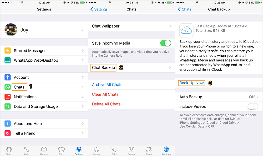 Backup WhatsApp Call Logs and Messages on iPhone with iCloud