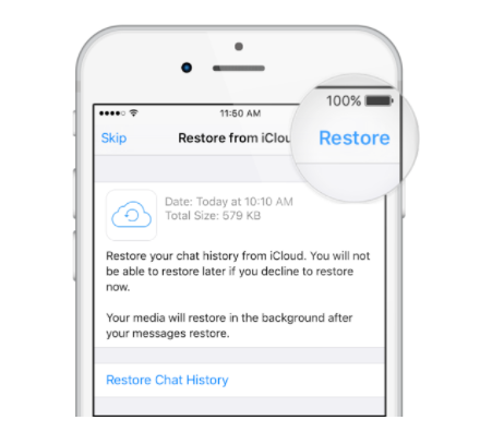 Restore WhatsApp Call History and Chats on iPhone